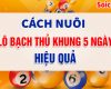 Cách bắt bạch thủ lô khung 5 ngày siêu chính xác